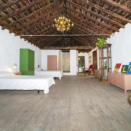 לינה וארוחת בוקר ארונה Cactus Coliving & Coworking מראה חיצוני תמונה