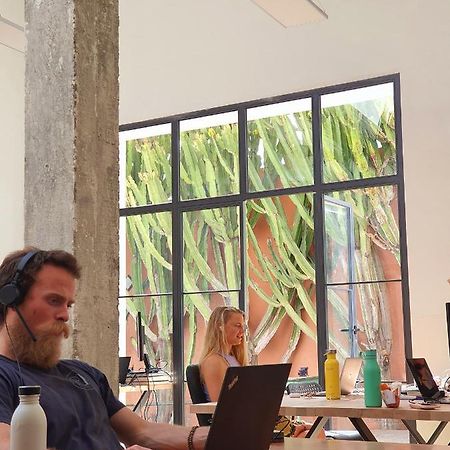 לינה וארוחת בוקר ארונה Cactus Coliving & Coworking מראה חיצוני תמונה