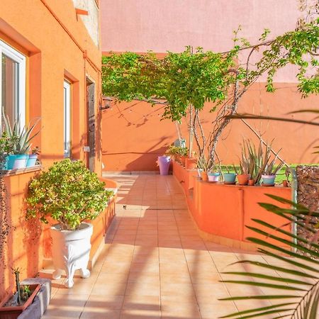 לינה וארוחת בוקר ארונה Cactus Coliving & Coworking מראה חיצוני תמונה
