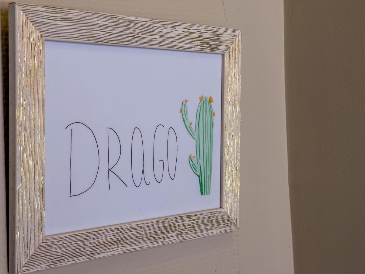 לינה וארוחת בוקר ארונה Cactus Coliving & Coworking מראה חיצוני תמונה