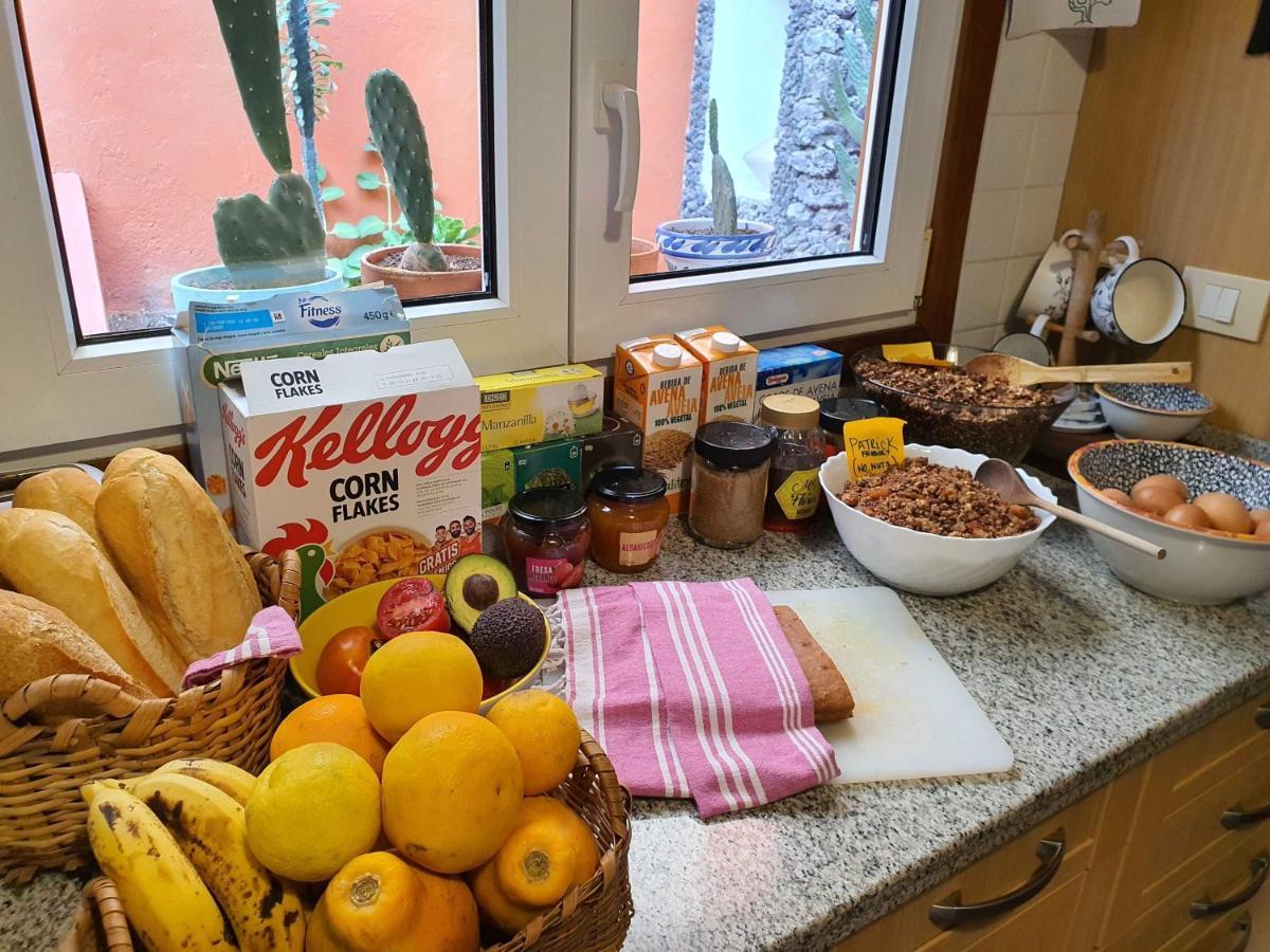 לינה וארוחת בוקר ארונה Cactus Coliving & Coworking מראה חיצוני תמונה