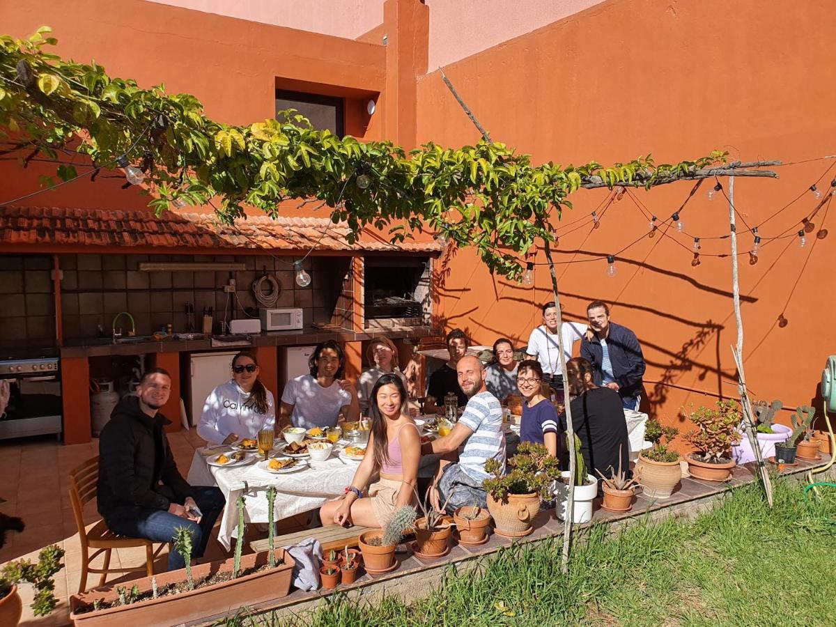 לינה וארוחת בוקר ארונה Cactus Coliving & Coworking מראה חיצוני תמונה
